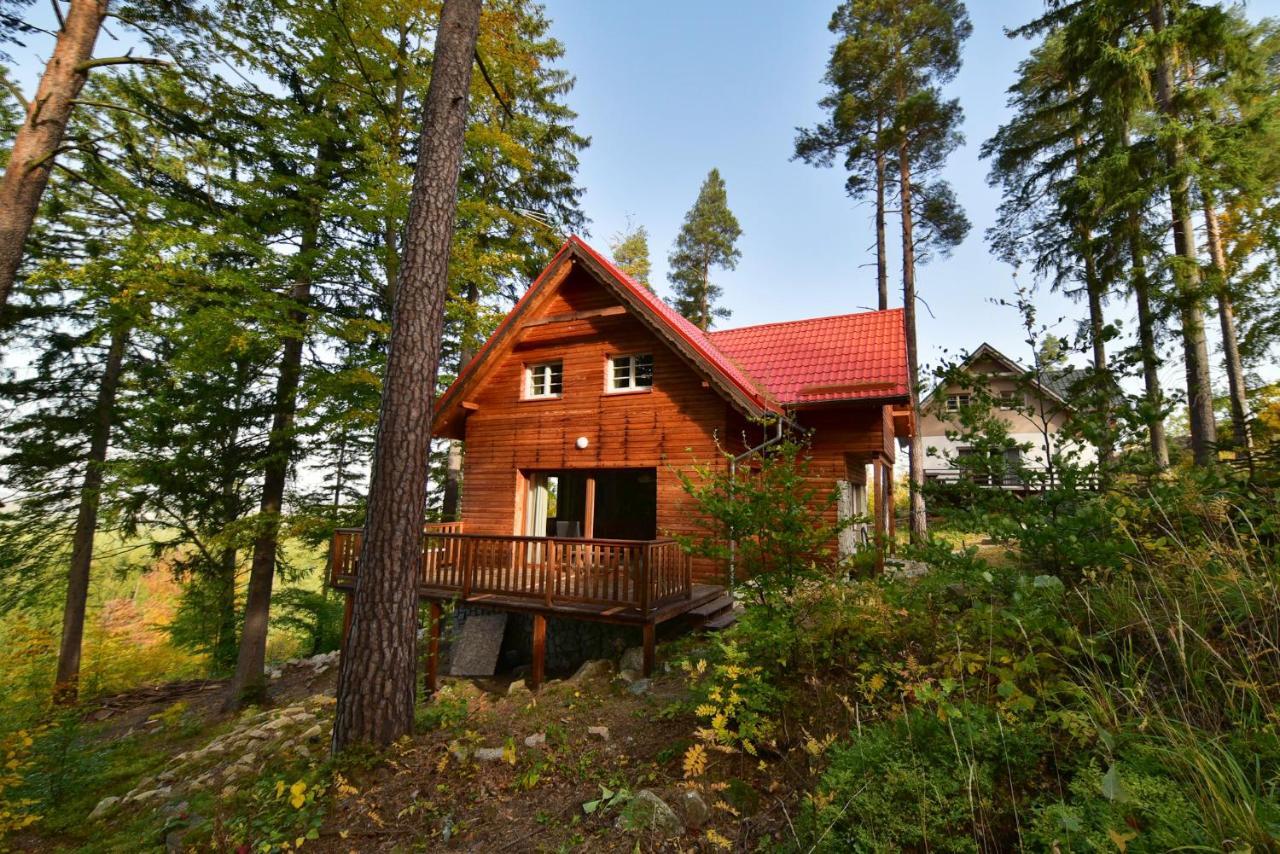 Lesny Kolo Karpacza - Apartamentuj Holiday home *
