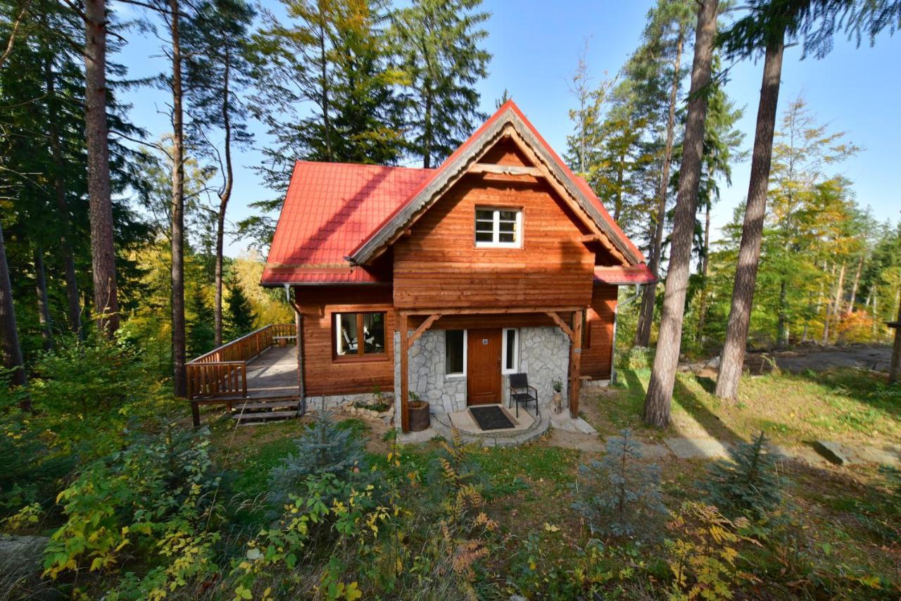 Prázdninový dům Lesny Kolo Karpacza - Apartamentuj