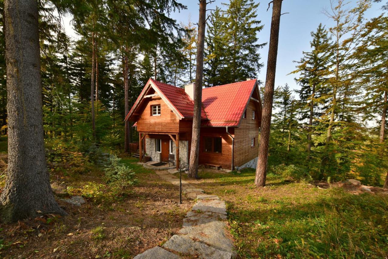 Lesny Kolo Karpacza - Apartamentuj Prázdninový dům Karpacz