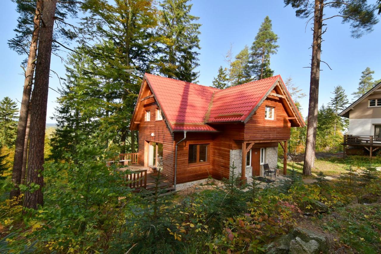 Lesny Kolo Karpacza - Apartamentuj *